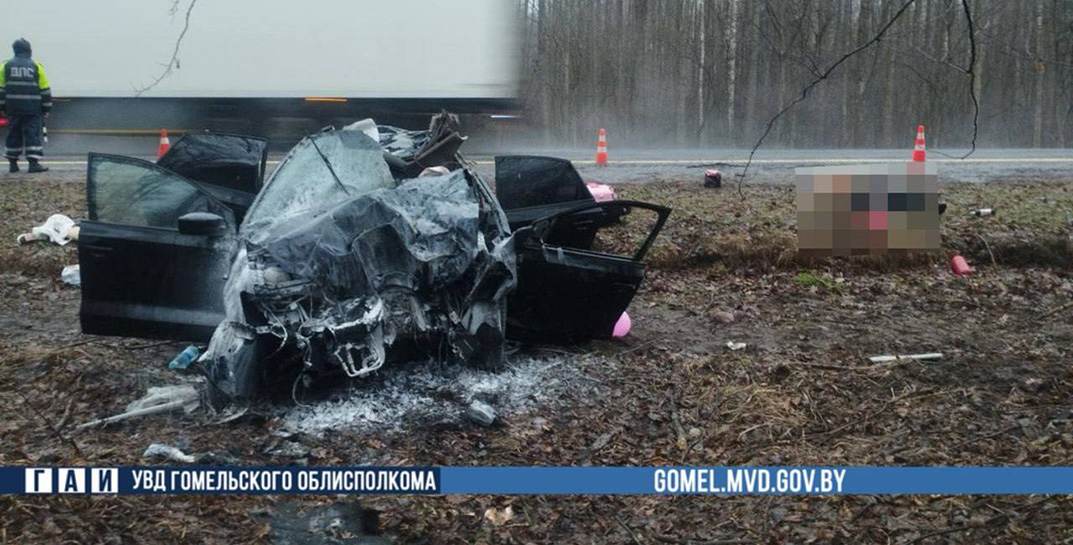 В Добрушском районе лось стал причиной жуткой аварии, в которой погиб 22-летний парень