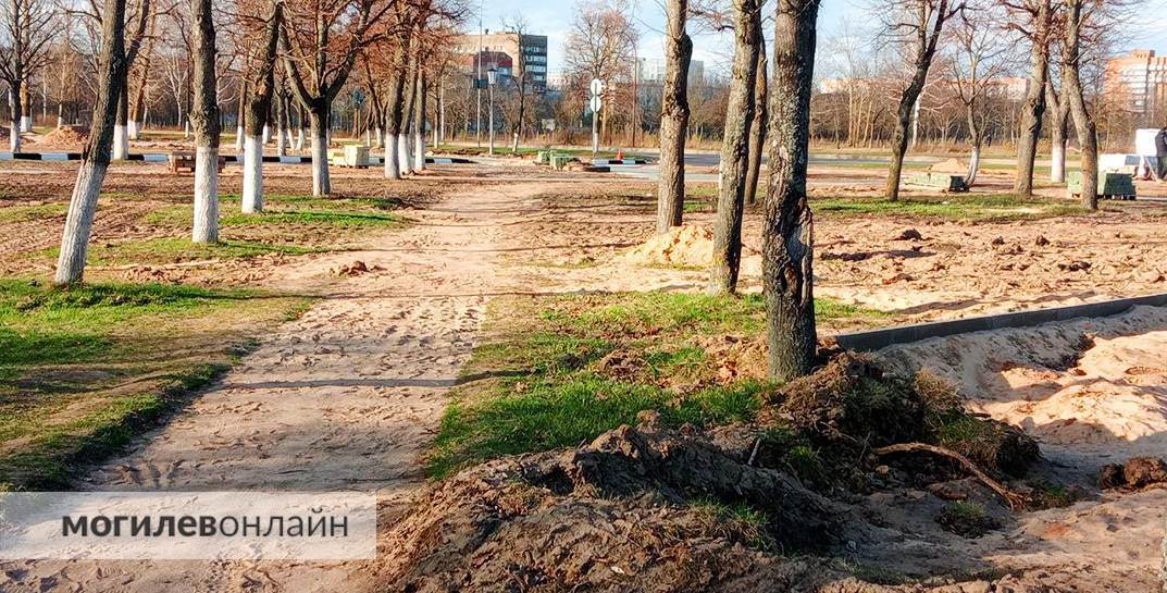 Территорию возле Святого озера в Могилеве продолжают благоустраивать — сейчас делают удобные подходы и дорожки