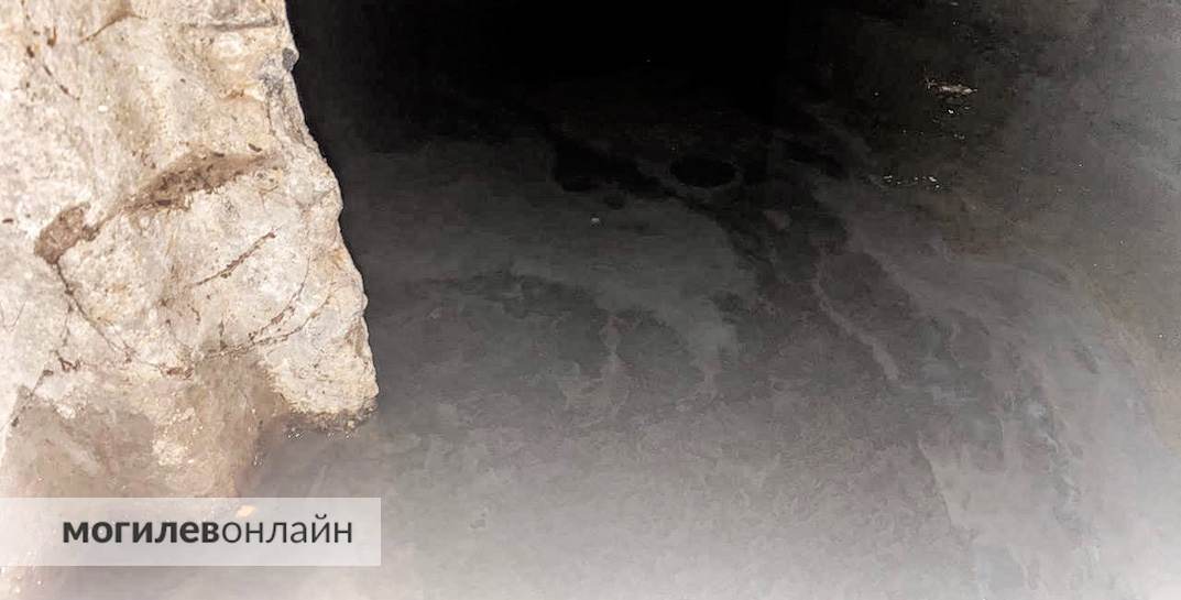 «В ЖЭУ сказали — само высохнет», — жители дома по улице Индустриальная, 2а в Могилеве жалуются на вонь и жижу в подвале