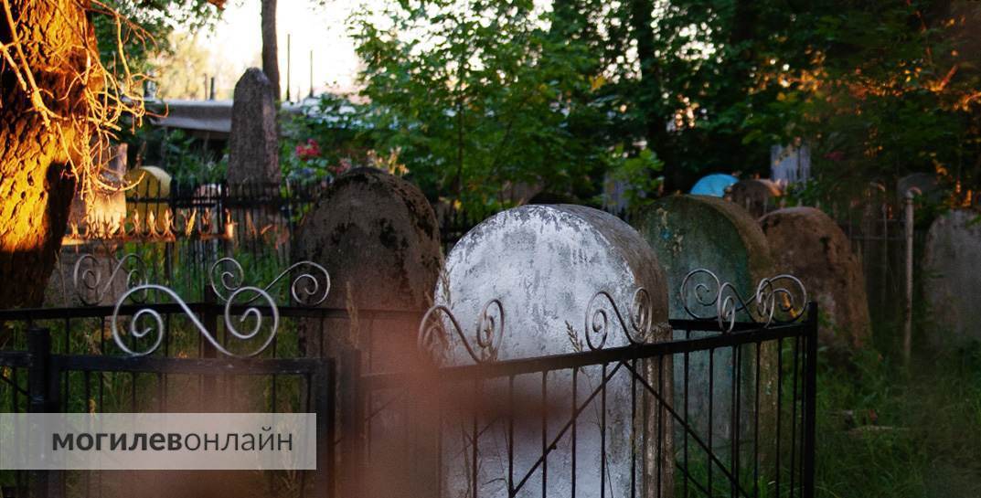 Министерство ЖКХ предложило вырубить деревья на кладбищах. А что еще?