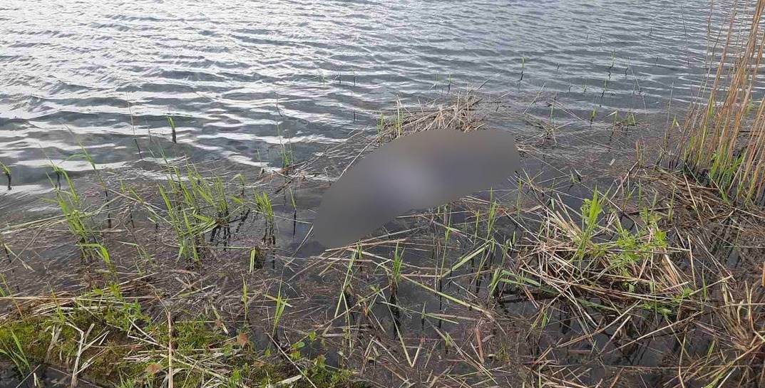 Рыбачил у берега и упал в воду: в Костюковичах утонул мужчина