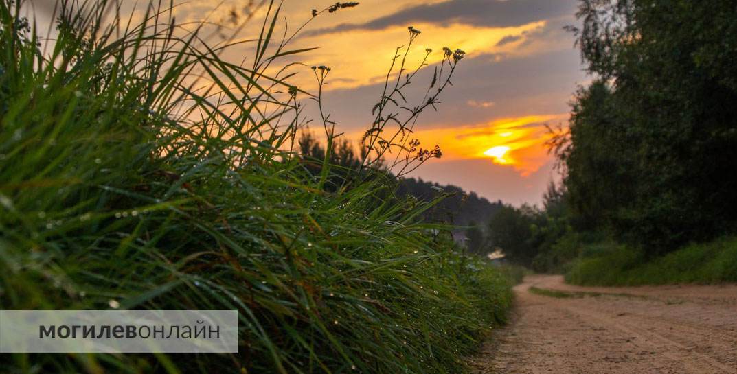 Стало известно, какой будет погода в Могилевской области в начале следующей недели