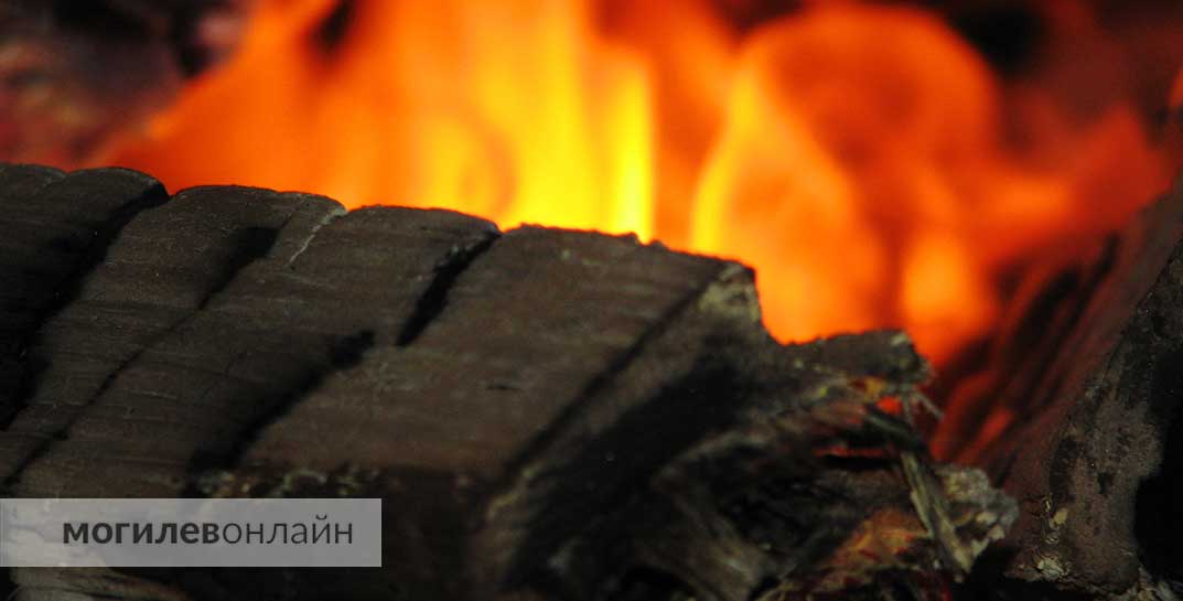 Пожилая мать и ее сын погибли на пожаре в Кировске