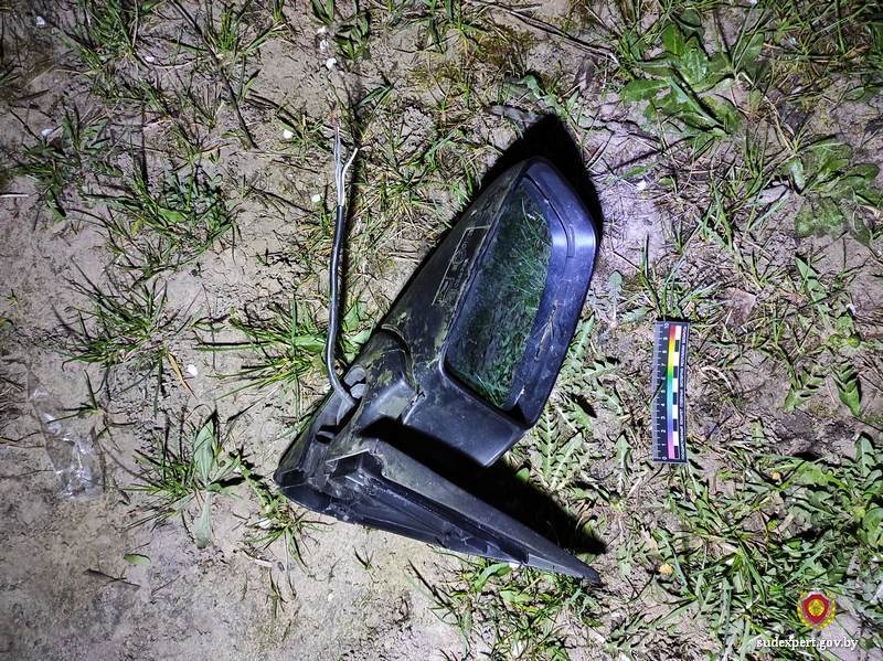 В Осиповичах пьяный хулиган побил чужое авто, а когда его задержали — все отрицал. Истину установили по кедам и следам рук
