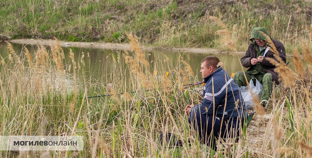 В Могилевской области с 31 мая вводится сезонный запрет на лов сома