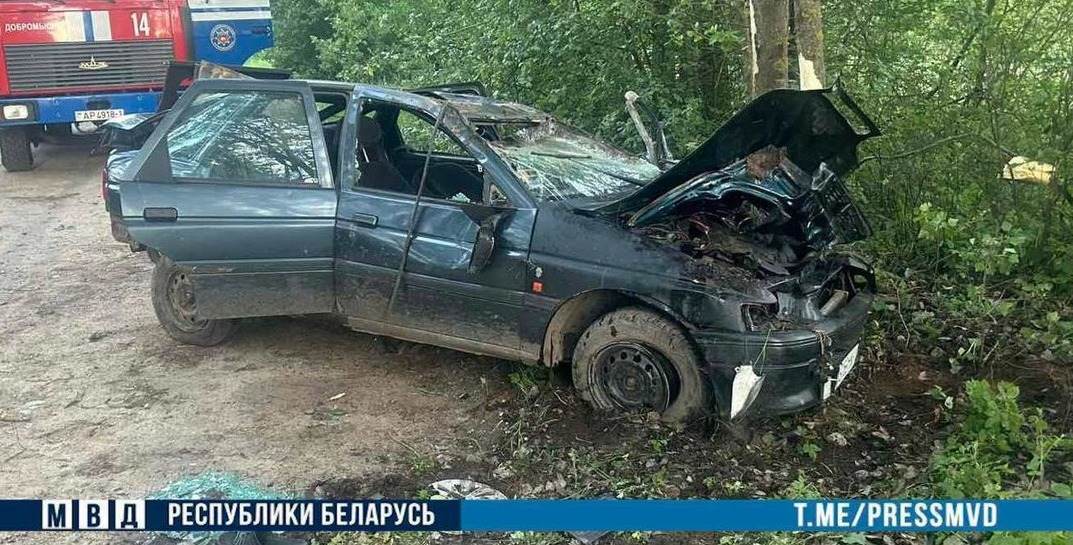 На Брестчине водитель-бесправник не справился с управлением и врезался в дерево — погибли два человека