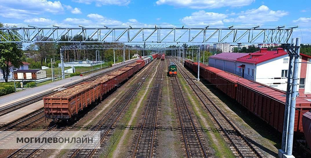 Под Гродно пенсионерка потеряла сознание и упала под поезд