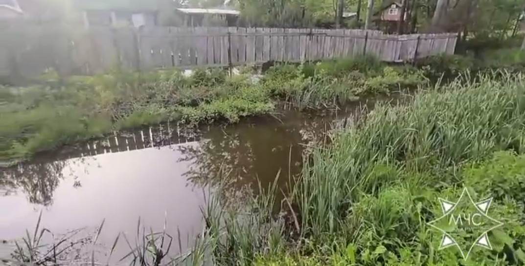 В Витебском районе в водоеме садового товарищества утонул ребенок