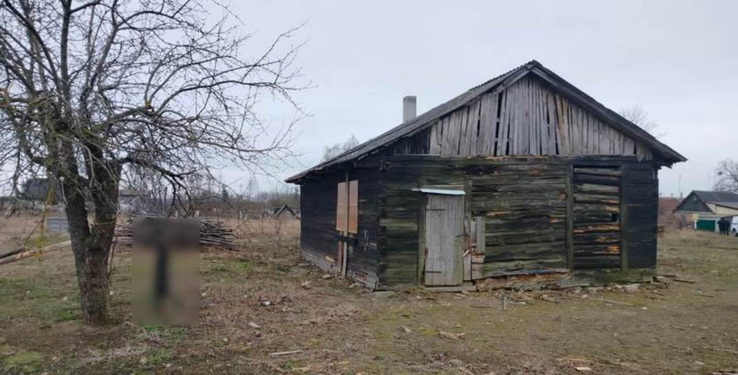В Гродно мужчина повесил собаку на дереве из-за того, что ее тошнило в квартире