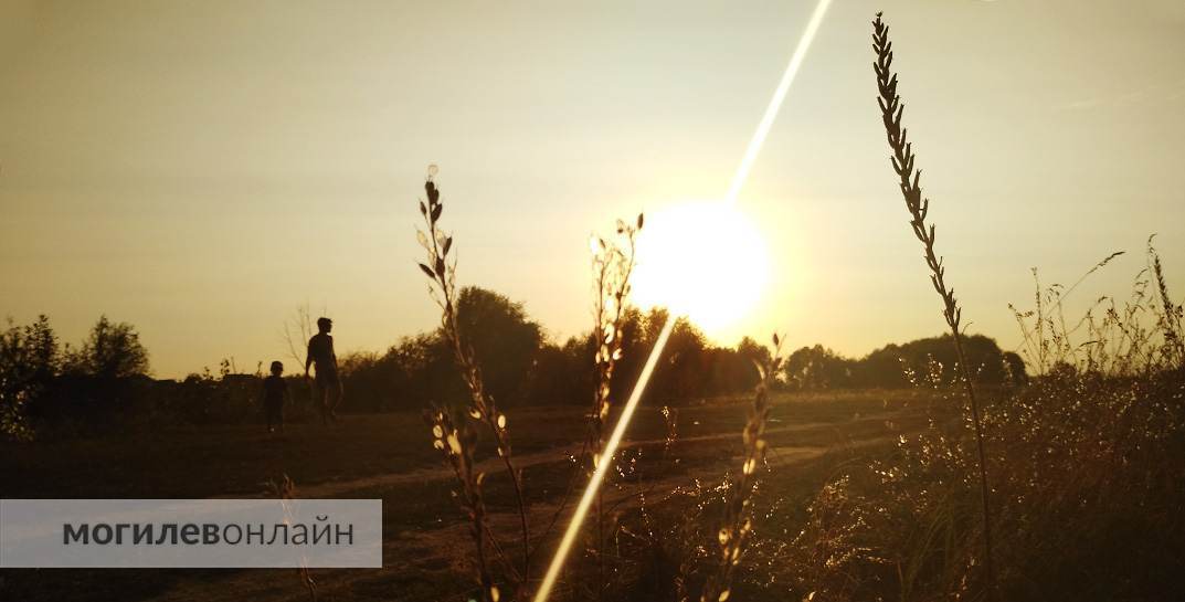 Какой будет погода в Могилеве в первые выходные лета, рассказали синоптики