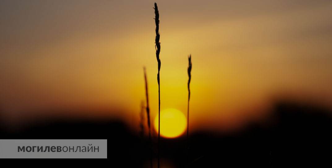 Погода в Могилеве на неделю с 12 по 18 мая — есть надежда на потепление