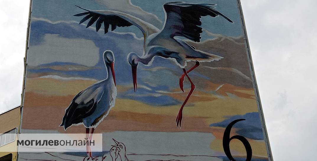 В Могилеве в процессе создания еще один мурал. Расскажем, где он и как выглядит