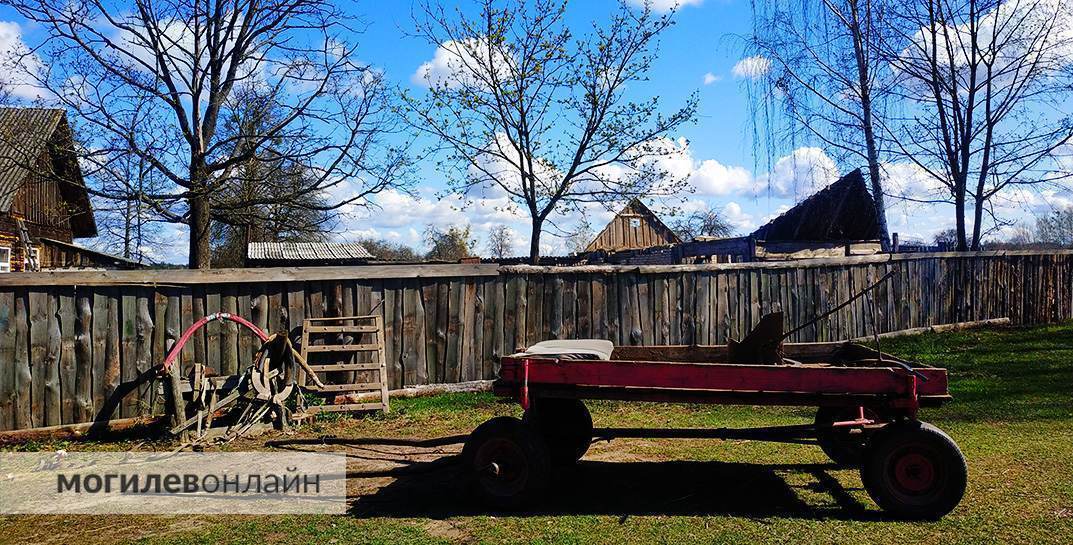 Новые правила благоустройства: что нужно знать белорусам?