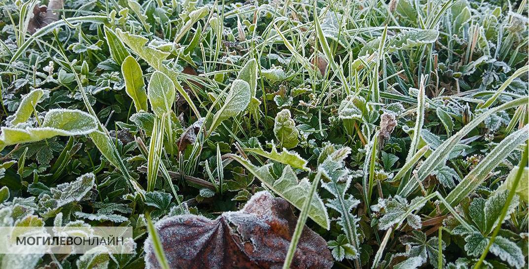 «Так холодно не было никогда». Бобруйск впервые за 124 года побил температурный рекорд мая