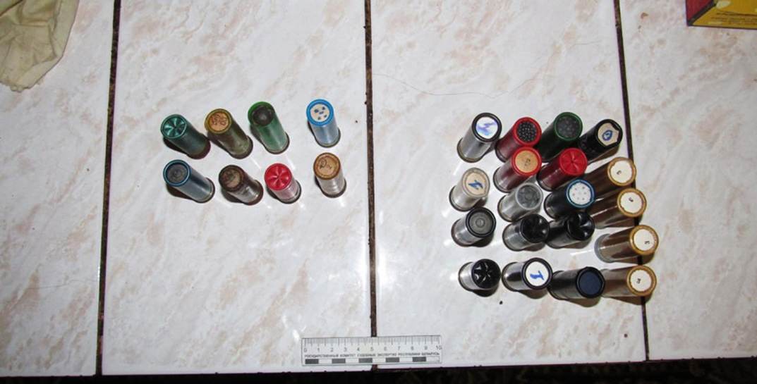 Охотник в Осиповичском районе случайно убил краснокнижного барсука и скрыл инцидент от работников хозяйства — получит судимость и огромный штраф