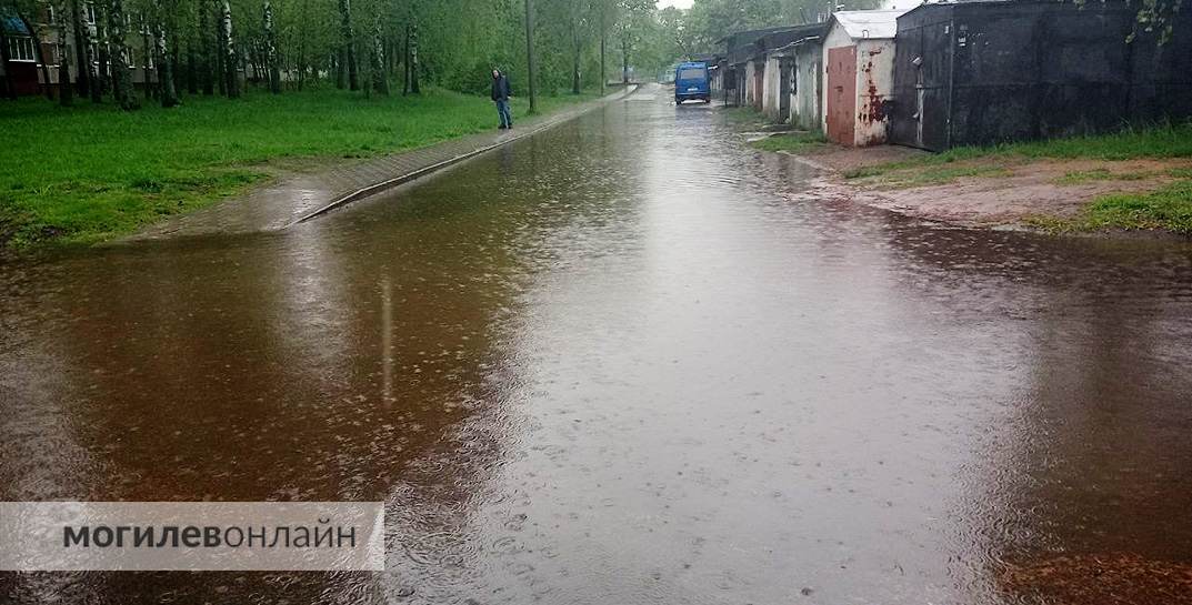 Могилевщину и Гомельскую область накрыл ливень с грозой и порывистым ветром