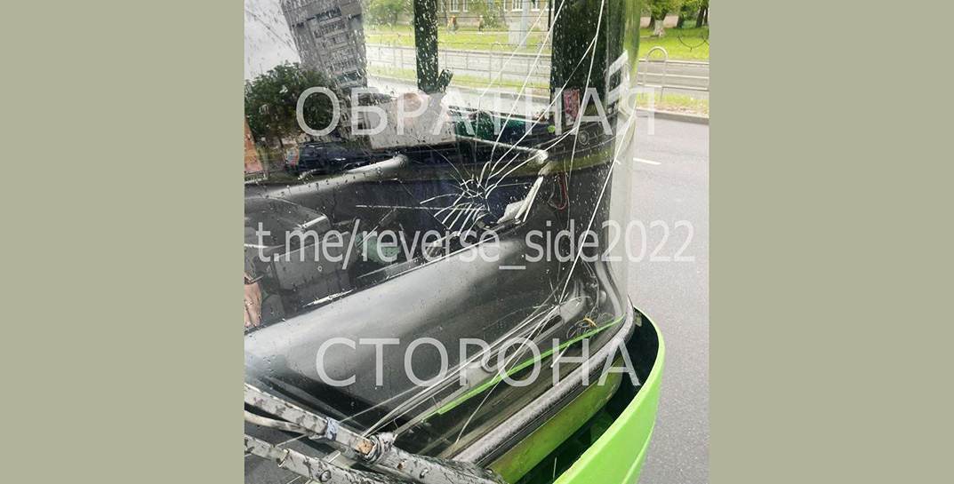 В Могилеве нетрезвый «заяц» разбил лобовое стекло в автобусе