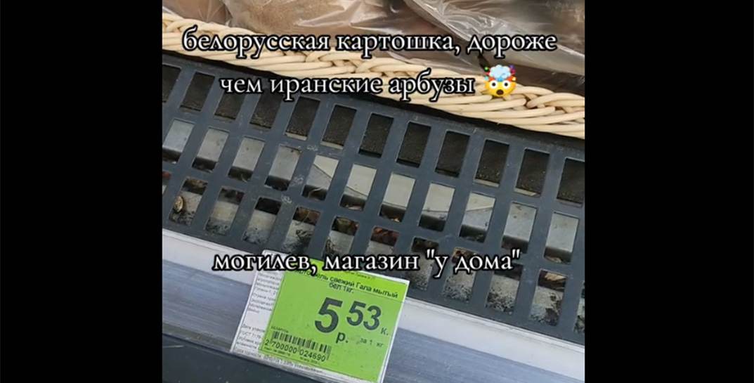 В Могилеве иранские арбузы дешевле белорусской картошки! Увидели такое — звоните в Госконтроль