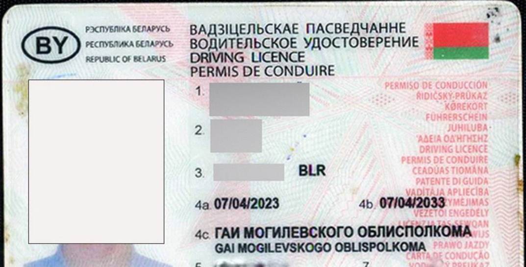 У могилевчанина не было времени, чтобы сдать экзамены в ГАИ, поэтому он купил права в интернете. Угадайте, чем все закончилось