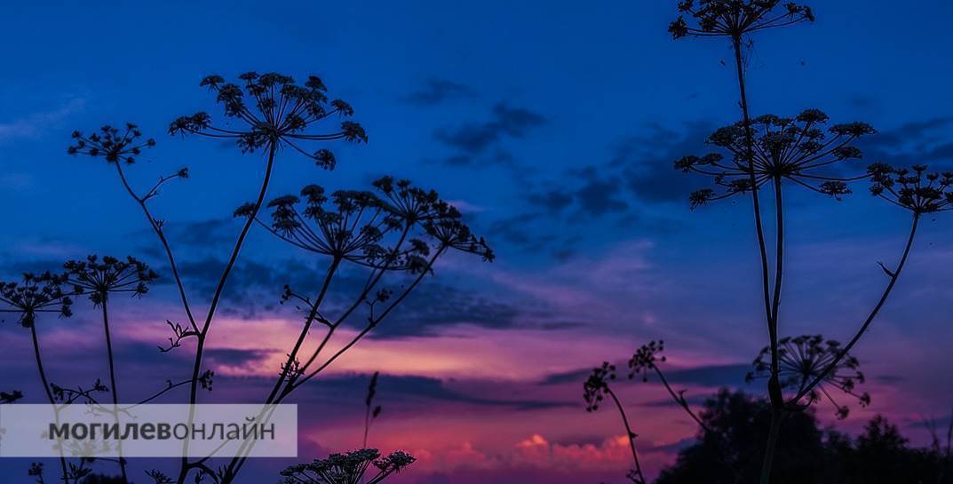 Погода в Могилеве в начале следующей недели: ожидается потепление