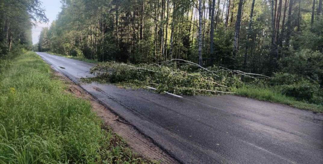 В МЧС показали последствия непогоды в Могилевской области