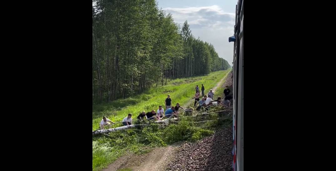 Пассажиры поезда помогли убрать дерево, которое упало на железнодорожные пути — ролик завирусился в сети