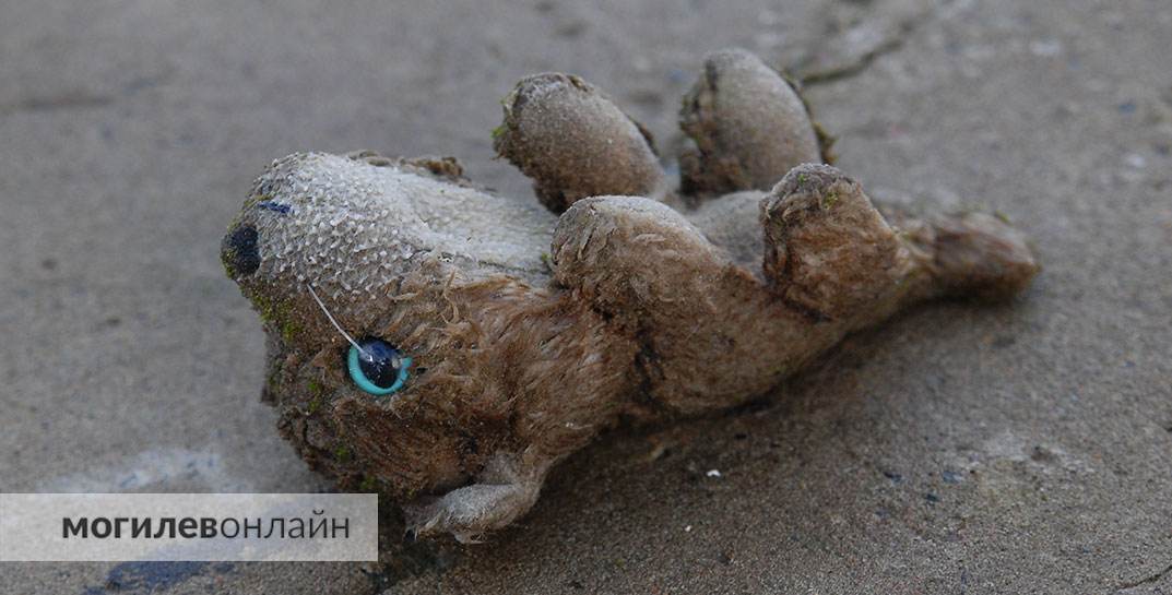 Белорус в российском аэропорту напал на двухлетнего мальчика — ребенок в коме