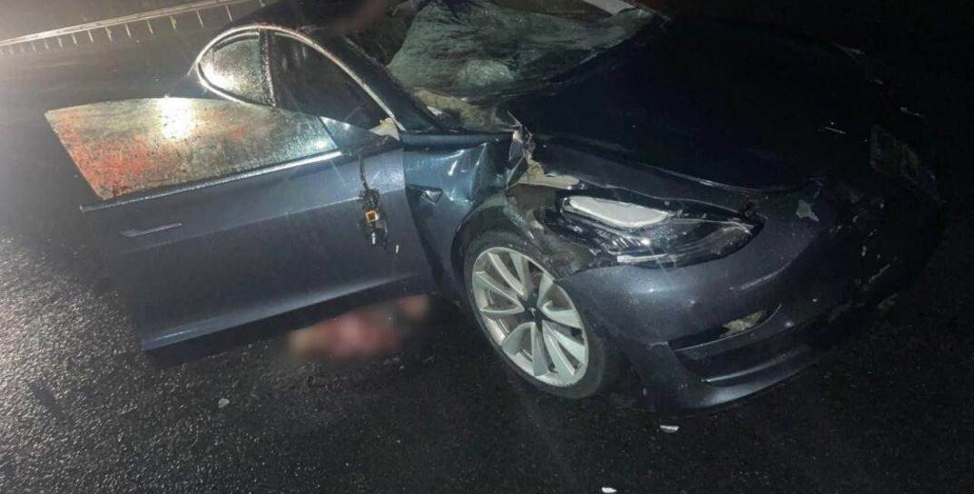 Под Минском Tesla влетела сразу в трех лосей