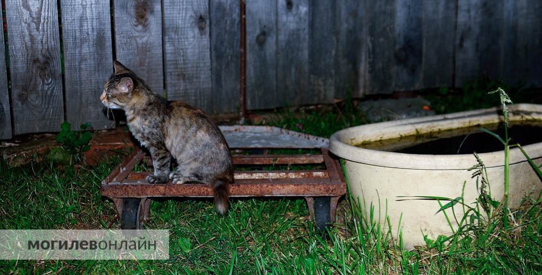 В Осиповичском районе психически нездоровые люди оплачивали 100% коммуналки. После проверки прокуратуры жировки пересчитали
