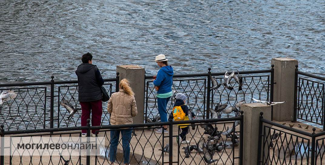 Лето у нас такое, что момент для прогулки надо еще успеть словить! У некоторых жителей Могилева получается