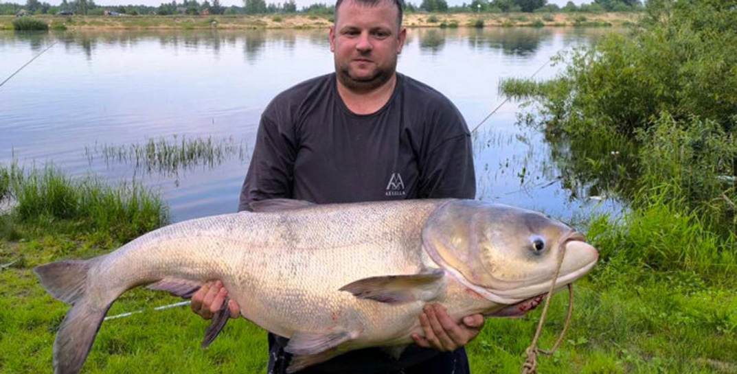 Зашкалили весы: белорус выудил из Припяти рекордного толстолобика