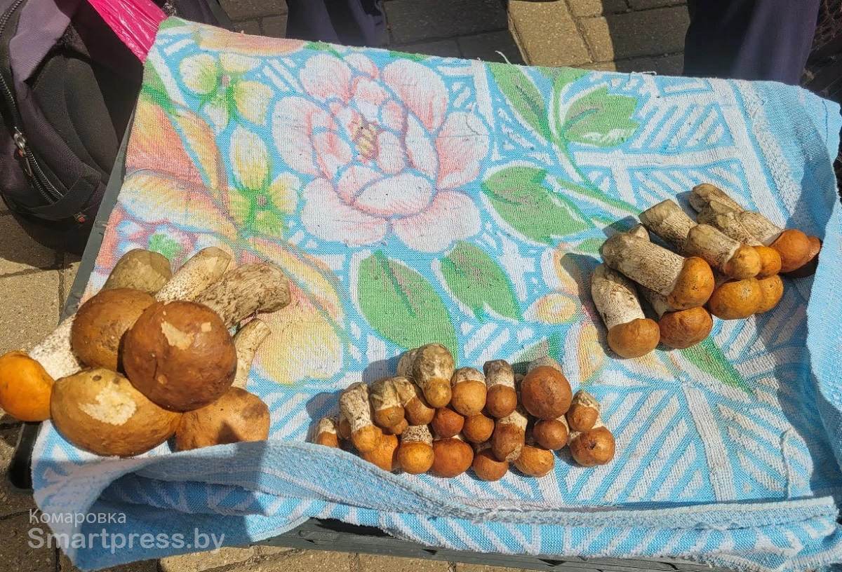 Сколько стоят грибы в конце июня на Центральном рынке в Могилеве? Сравниваем цены с минской Комаровкой — вы удивитесь 