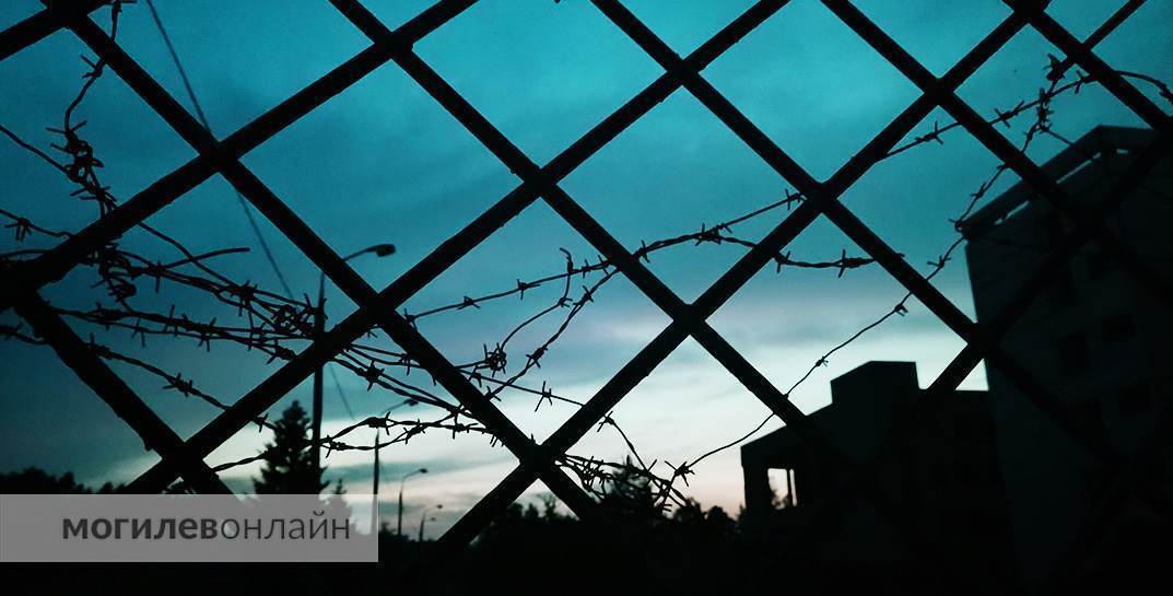 Мужчину, который забил до смерти посетительницу почты в Дрибинском районе, отправят на лечение