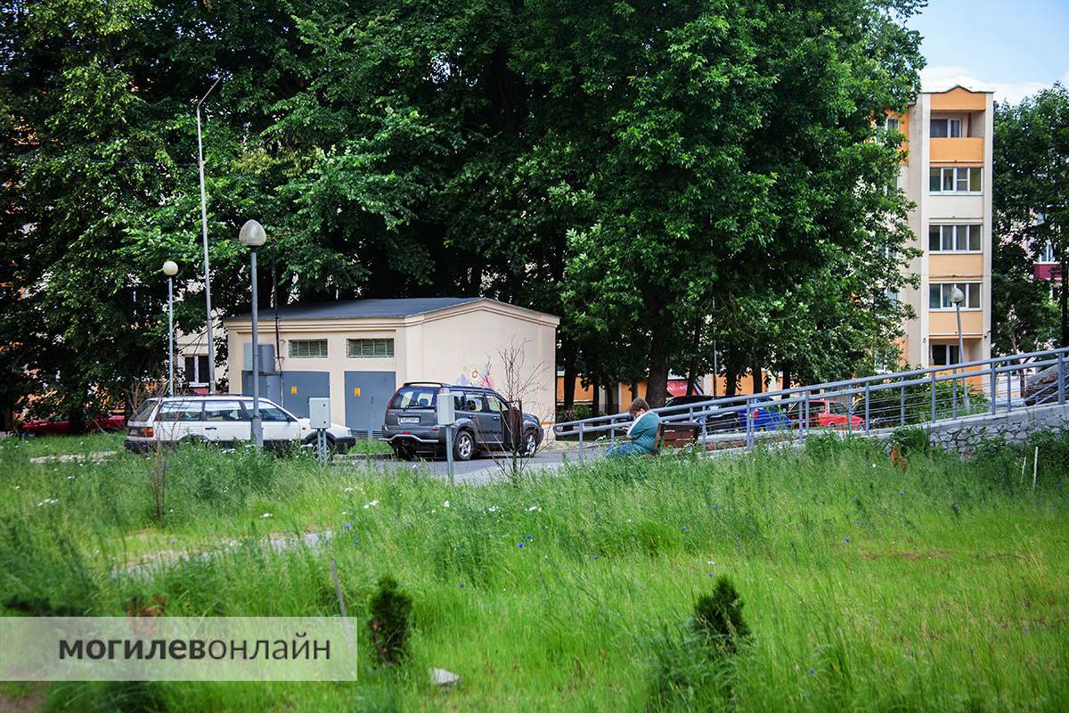 Правила новые — проблемы старые. Граждан обещали наказывать рублем за некошеную траву на участках, а как справляются с этим службы в Могилеве? 
