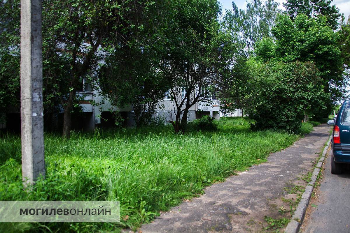 Правила новые — проблемы старые. Граждан обещали наказывать рублем за некошеную траву на участках, а как справляются с этим службы в Могилеве? 