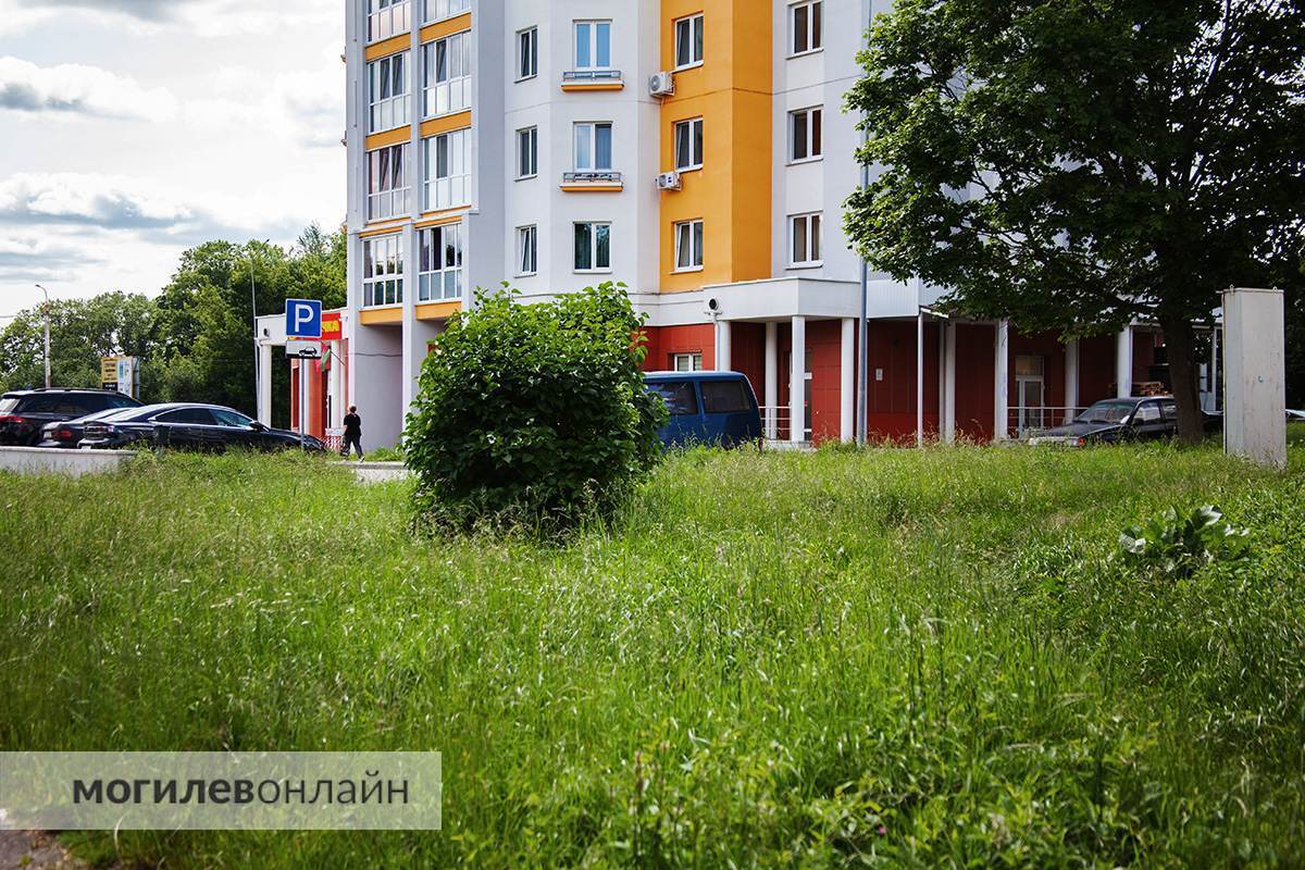 Правила новые — проблемы старые. Граждан обещали наказывать рублем за некошеную траву на участках, а как справляются с этим службы в Могилеве? 