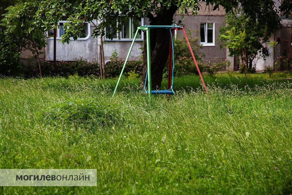 Правила новые — проблемы старые. Граждан обещали наказывать рублем за некошеную траву на участках, а как справляются с этим службы в Могилеве? 