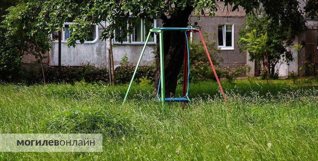 Правила новые — проблемы старые. Граждан обещали наказывать рублем за некошеную траву на участках, а как справляются с этим службы в Могилеве?
