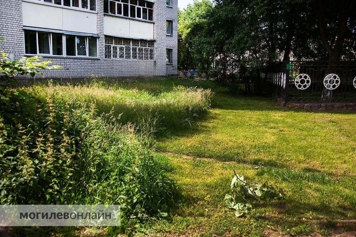 Правила новые — проблемы старые. Граждан обещали наказывать рублем за некошеную траву на участках, а как справляются с этим службы в Могилеве? 