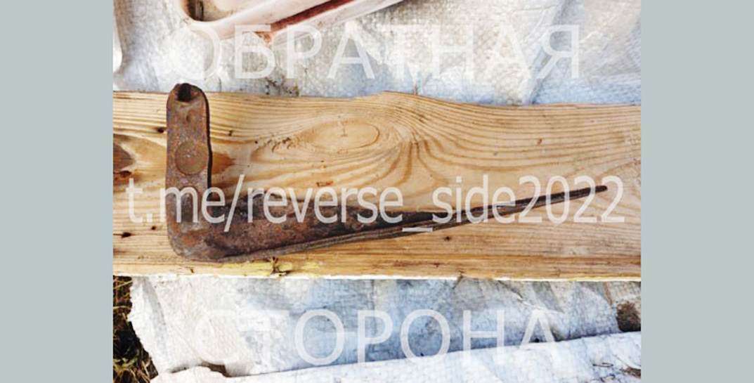 В Шкловском районе пенсионер пошел с косой на сына, который приехал из Могилева помочь по хозяйству