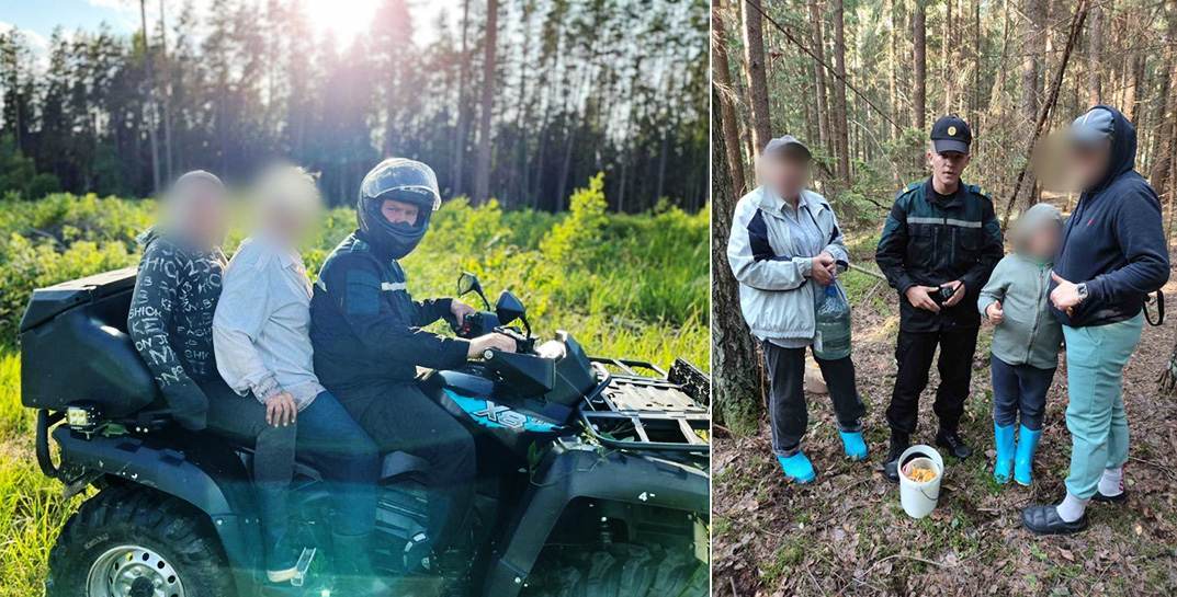 В Беларуси за сутки в лесах потерялись восемь человек, шесть — в Могилевской области