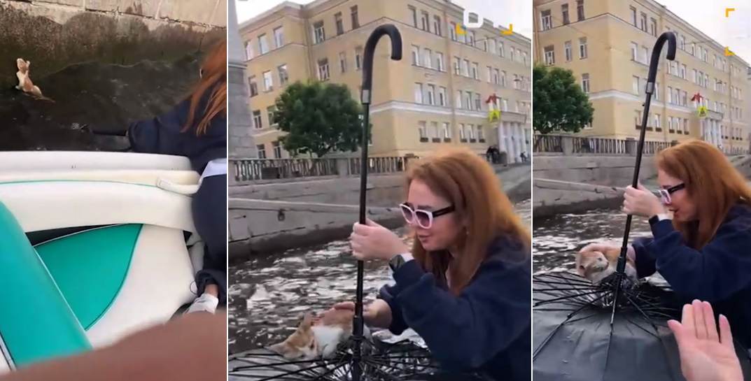 В Питере котенка, тонущего в канале, спасли с помощью зонтика. Посмотрите, как отчаянно боролись девушки за жизнь малыша