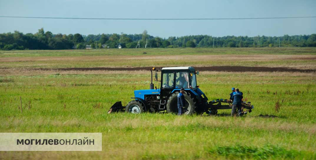 Бобруйский завод начал продавать запчасти к тракторам BELARUS на Wildberries