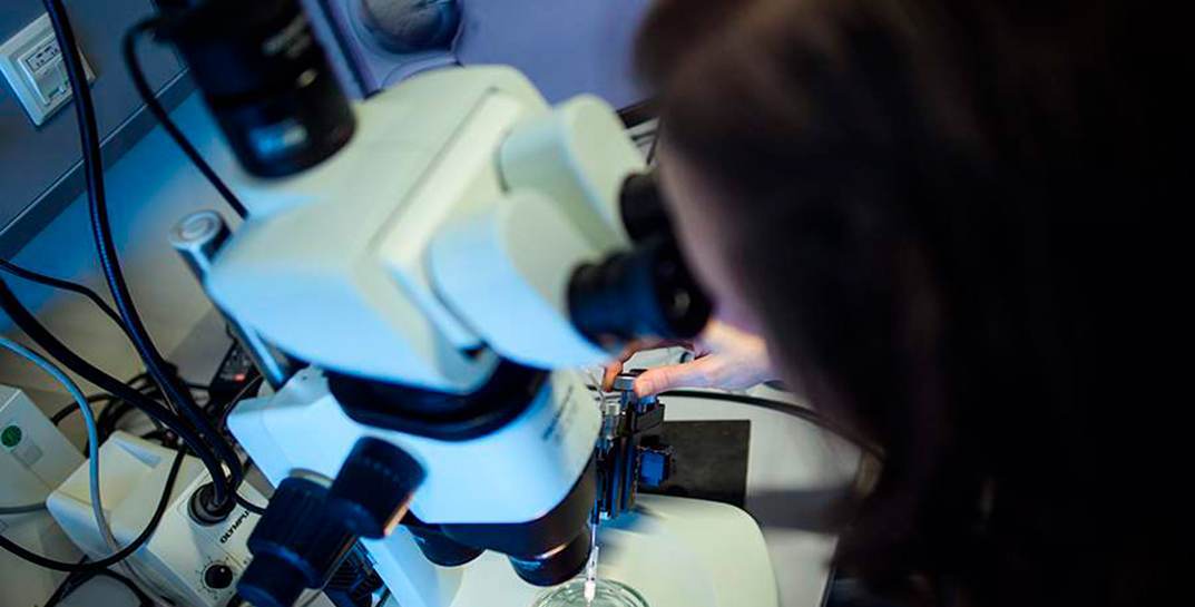 Нет слов — одни эмоции: японские ученые смогли удалить лишнюю хромосому, которая обычно сопутствует синдрому Дауна