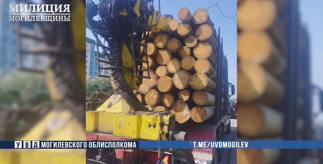 В Бобруйске работники украли у предприятия 27 кубометров древесины
