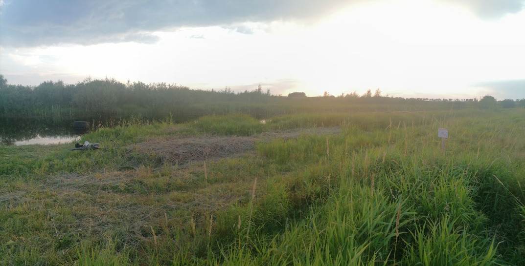 Нырнул и скрылся под водой: в Кировском районе утонул мужчина