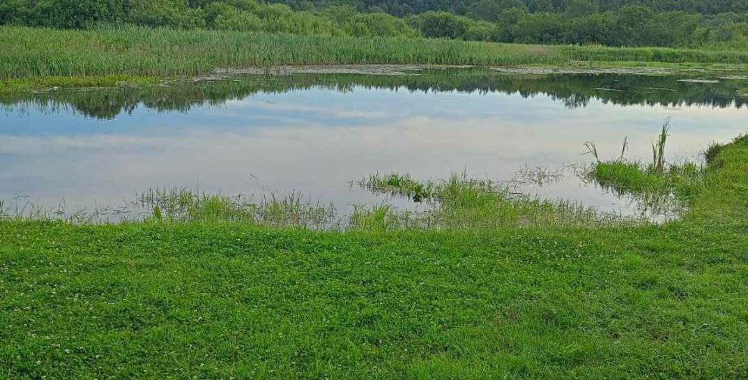 В Кличеве 16-летний подросток пытался переплыть реку и чуть не утонул — его спасли