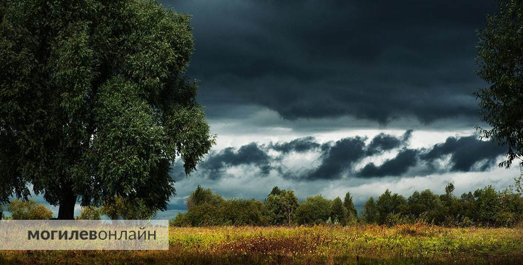 Погода в Могилеве на неделю с 7 по 13 июля — тепло, но дождливо