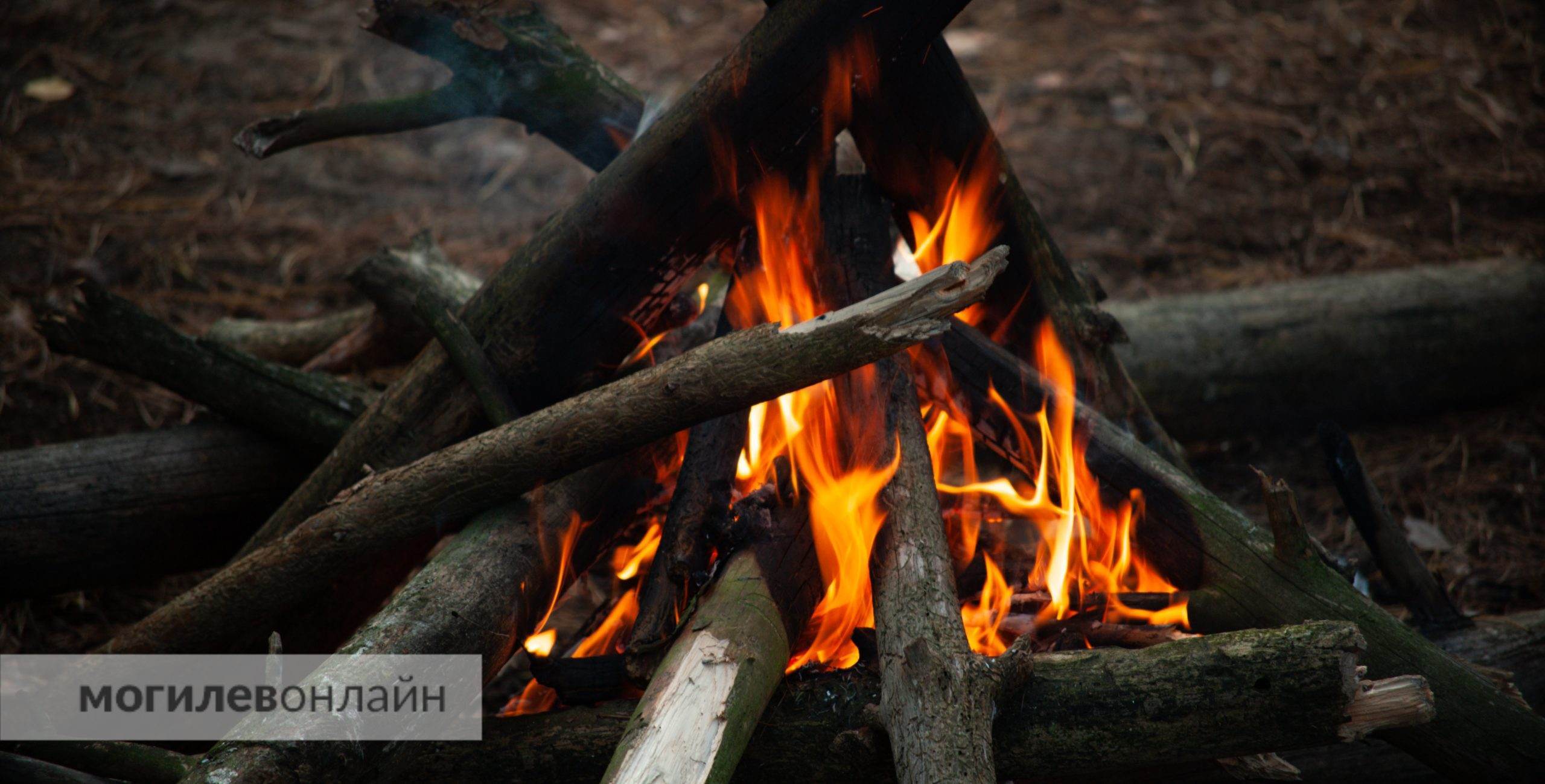 Столкнулся с другим ребенком и упал в костер: в Чаусском районе на празднике Купалье пострадал 8-летний мальчик
