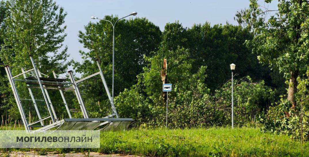 В Могилеве из-за урагана ночью падали не только деревья — ветром повалило столбы, скамейки и остановки